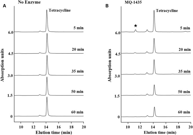 FIGURE 3