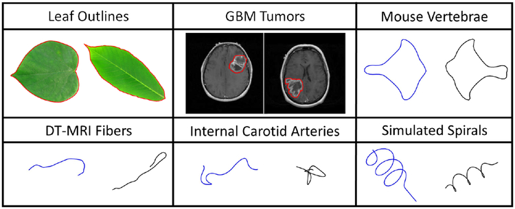Fig. 1: