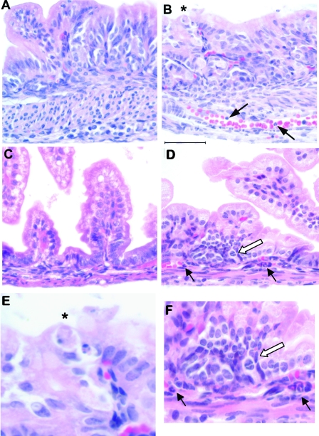 FIG. 5.