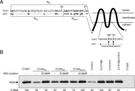 FIG. 8.