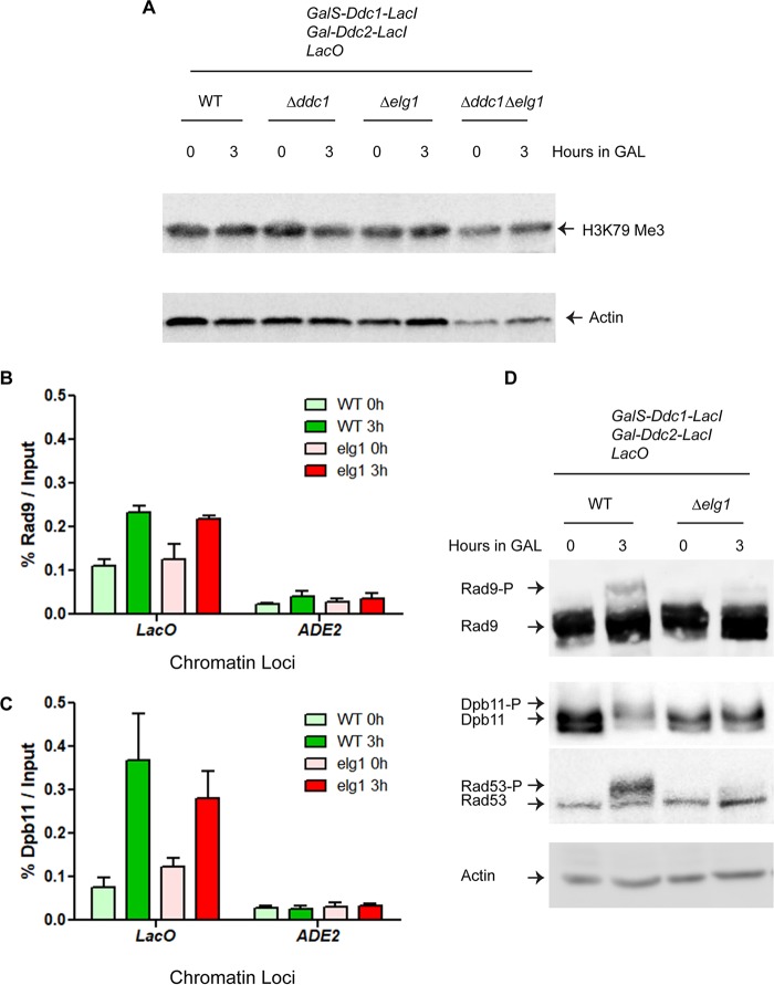 FIG 4