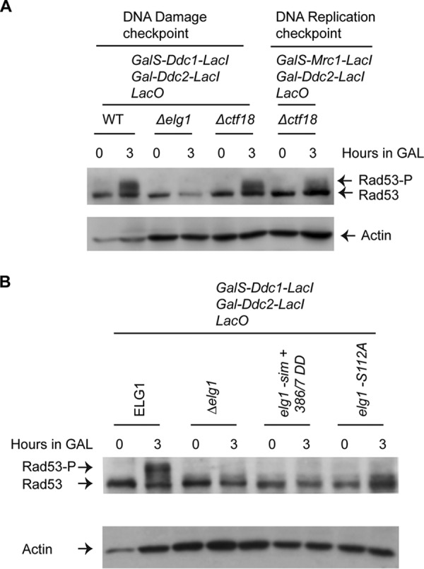 FIG 3