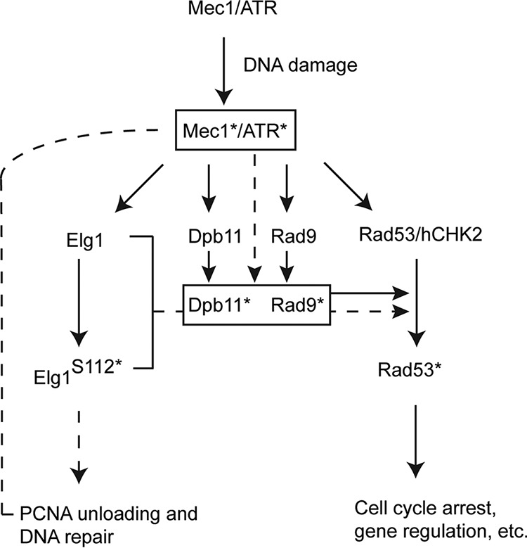 FIG 6