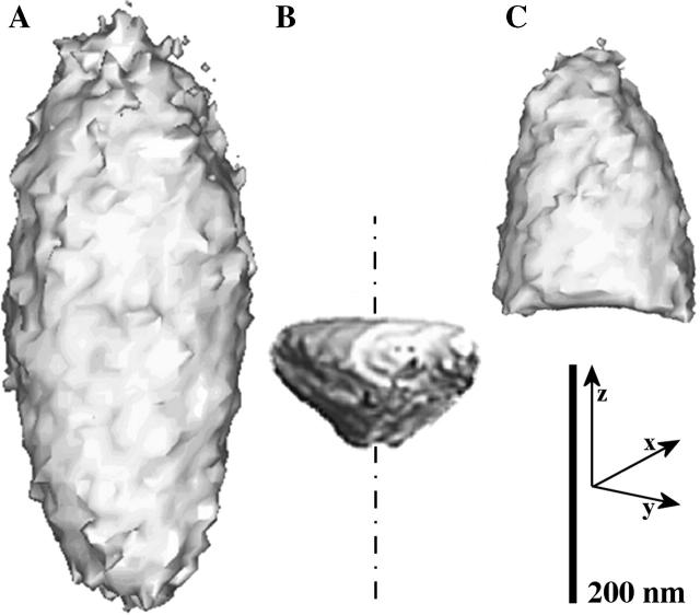 FIGURE 3