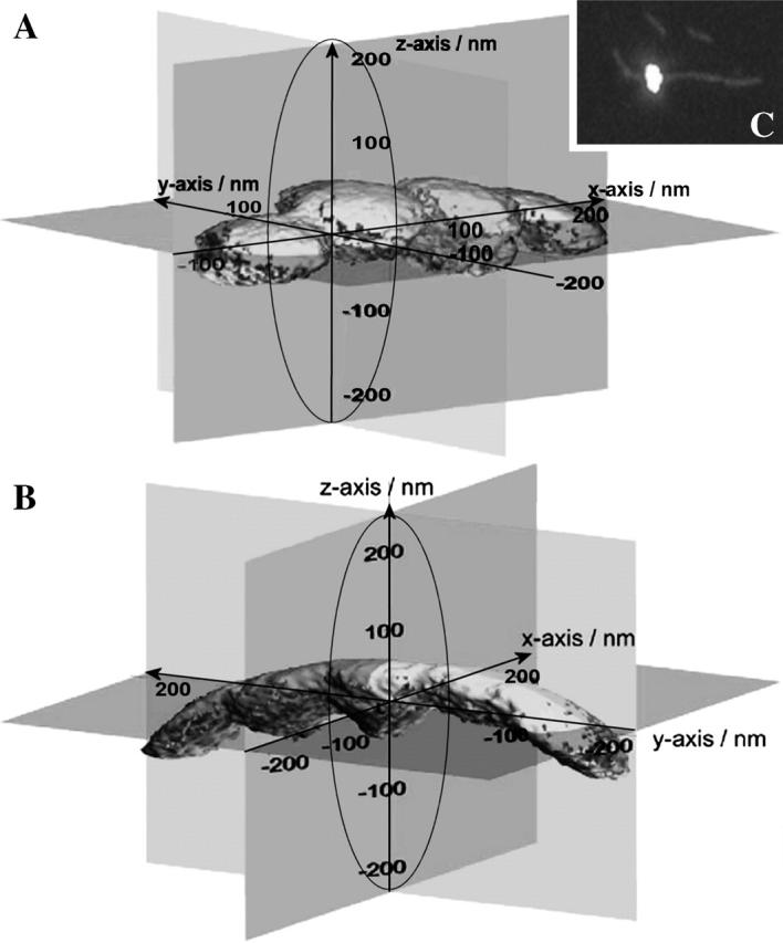 FIGURE 6