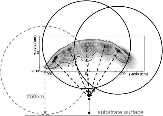 FIGURE 8