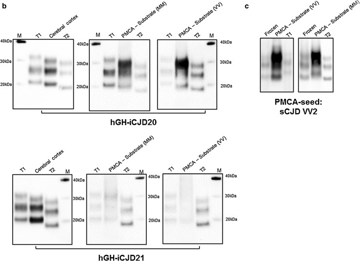 Fig. 6