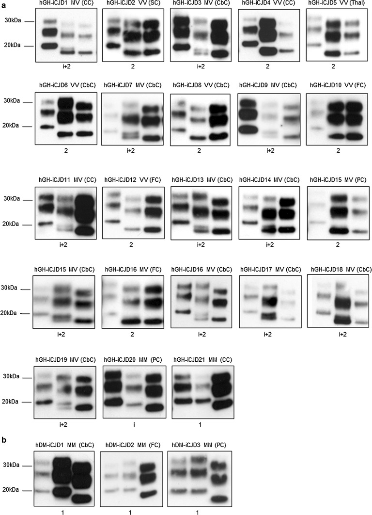 Fig. 3