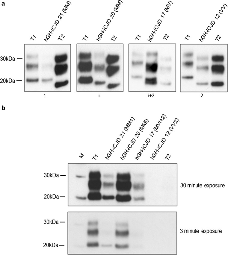 Fig. 2