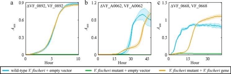 Figure 5.