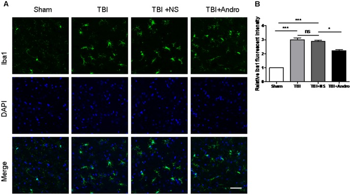 FIGURE 3