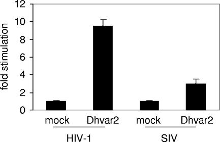 FIG. 5.