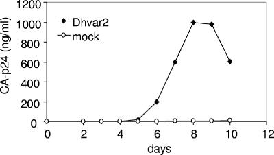 FIG. 2.