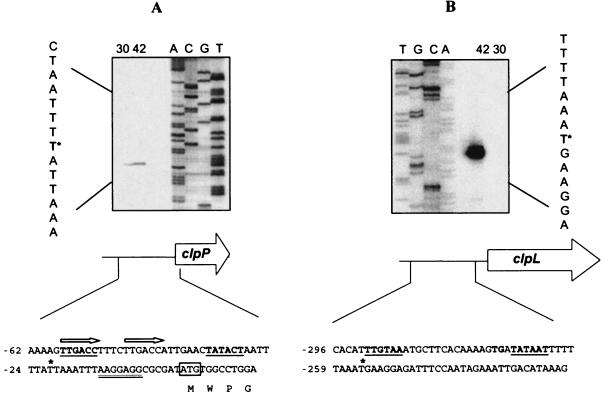 FIG. 5.