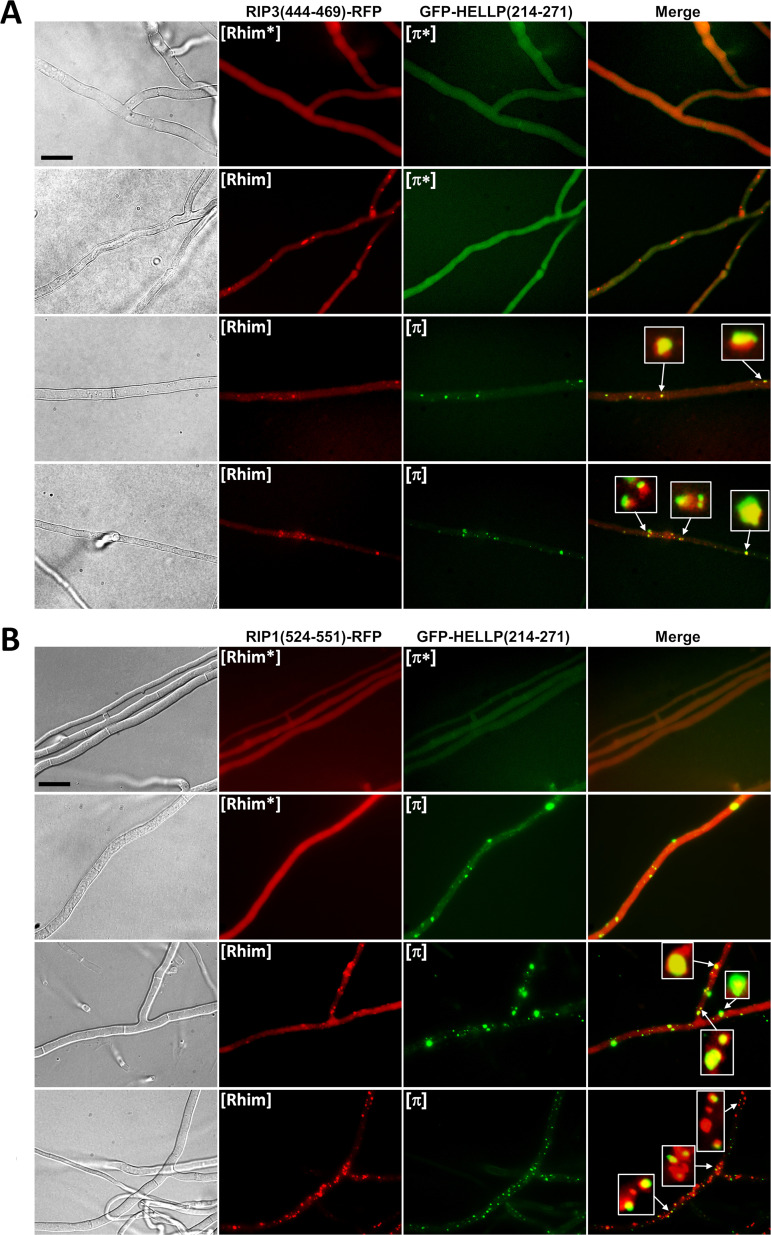 FIG 10