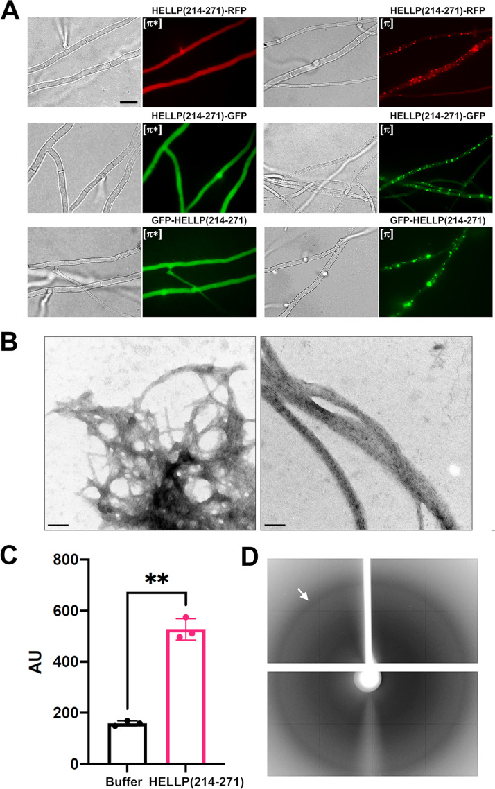 FIG 2