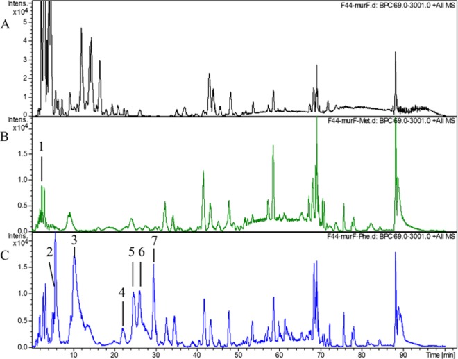 FIG 6