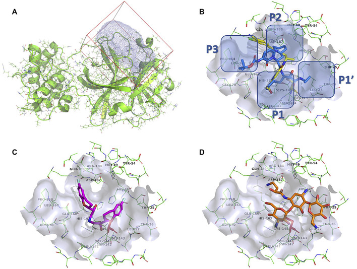 FIGURE 4