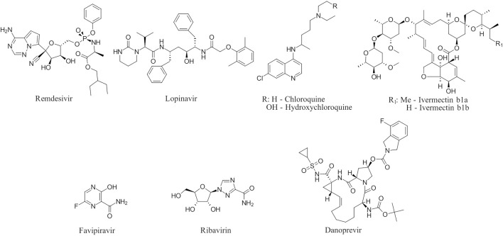 FIGURE 1