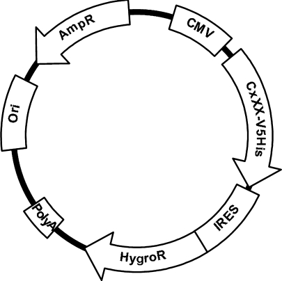 Fig. 1