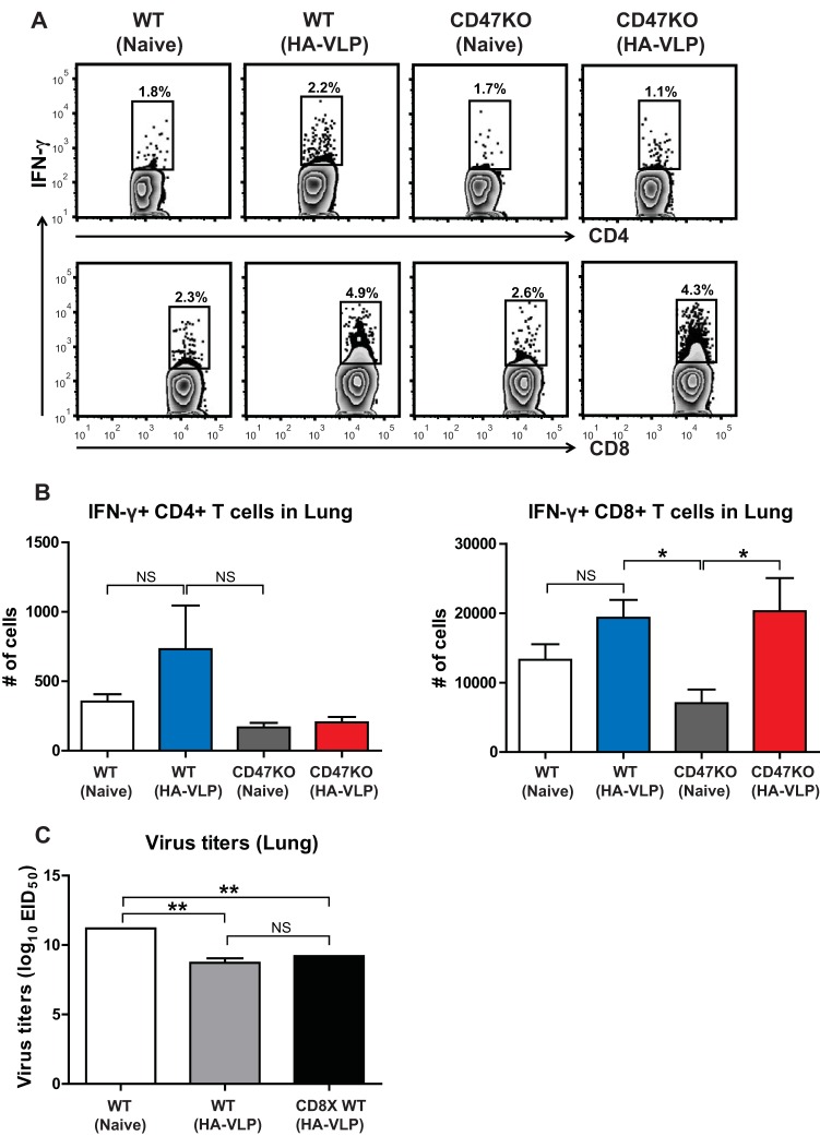 FIG 6