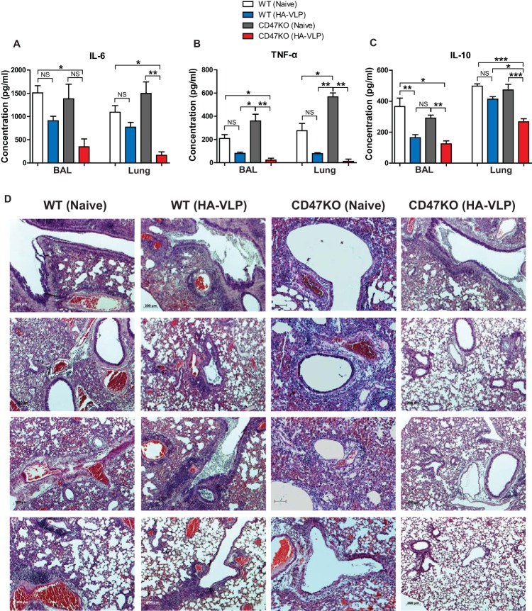 FIG 4