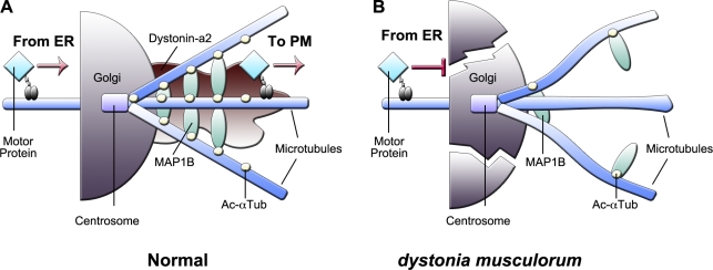 Figure 10.