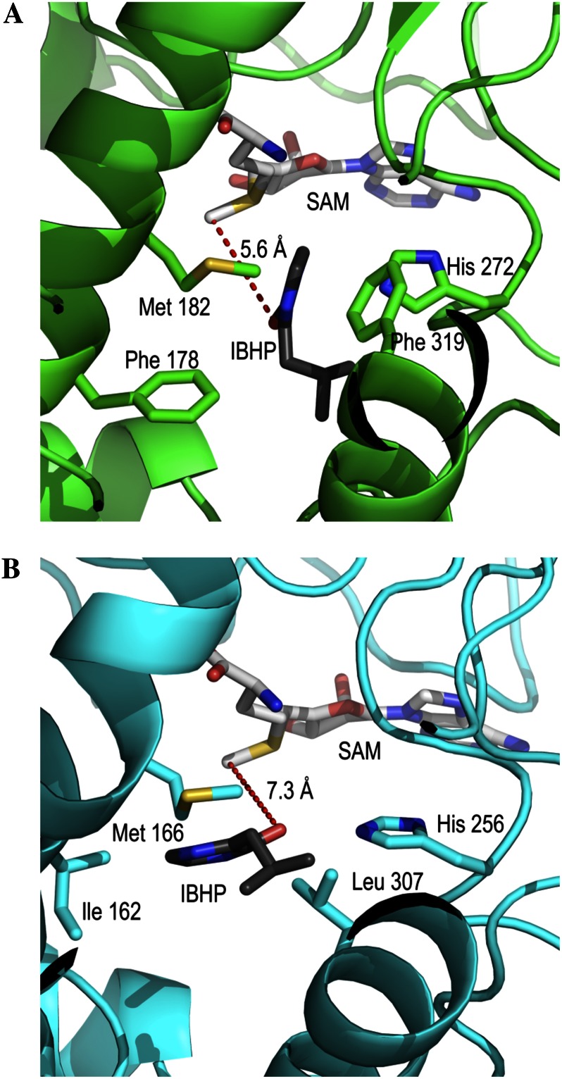 Figure 7.