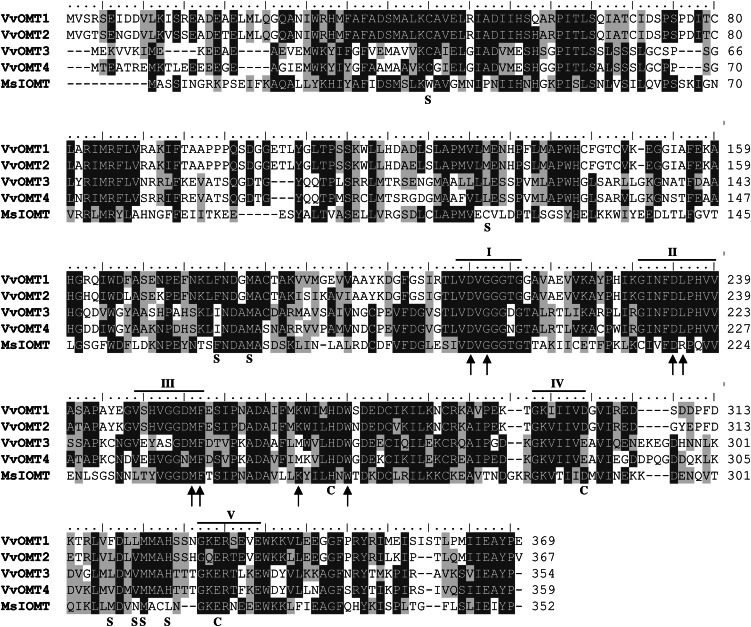 Figure 3.