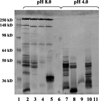 FIG. 5.