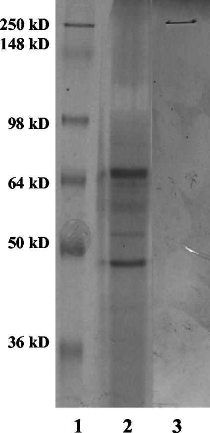 FIG. 7.