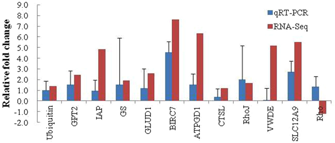 Figure 7