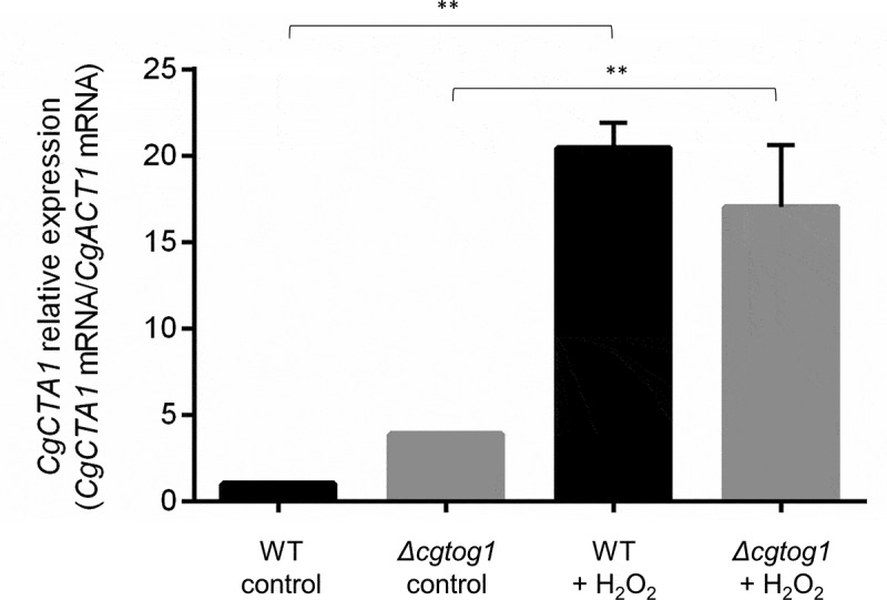 Figure 4.