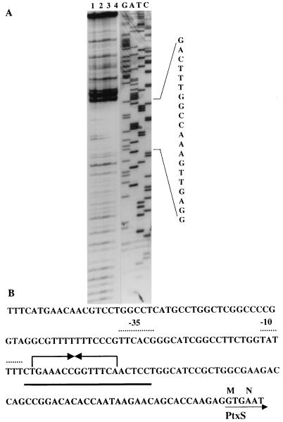 FIG. 5