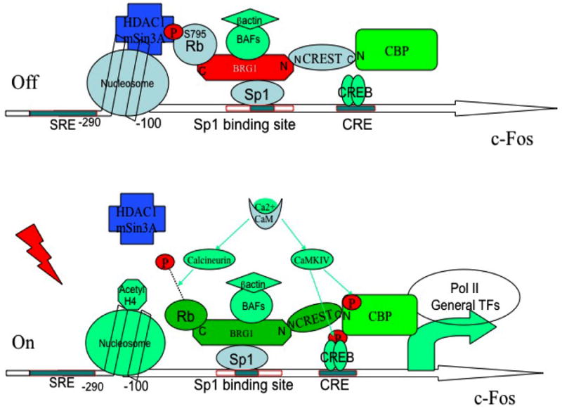 Figure 7