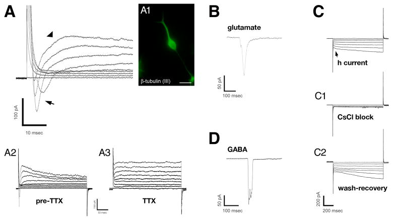 Fig. 10