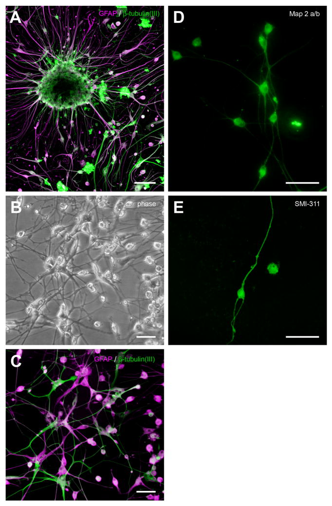 Fig. 9