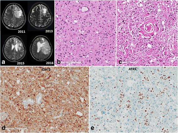 Fig. 2