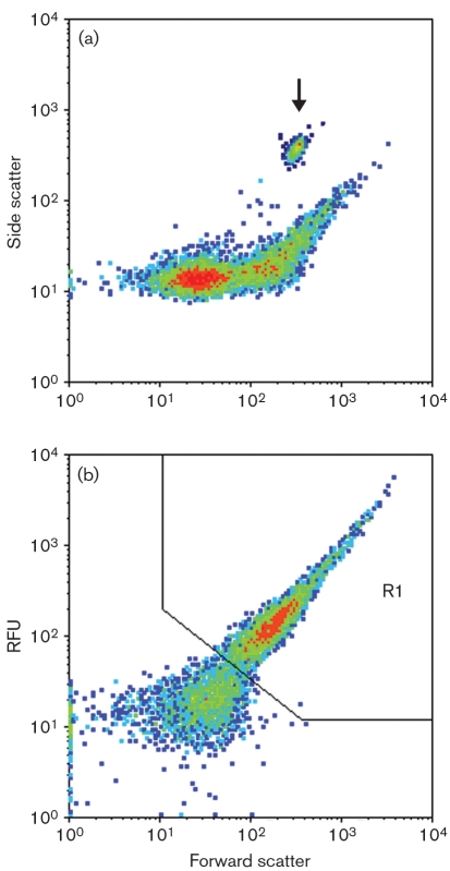 Fig. 3.