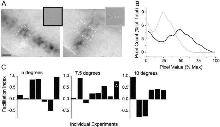 Fig. 10.