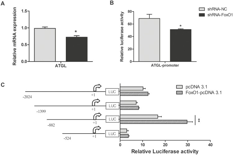 Figure 5.