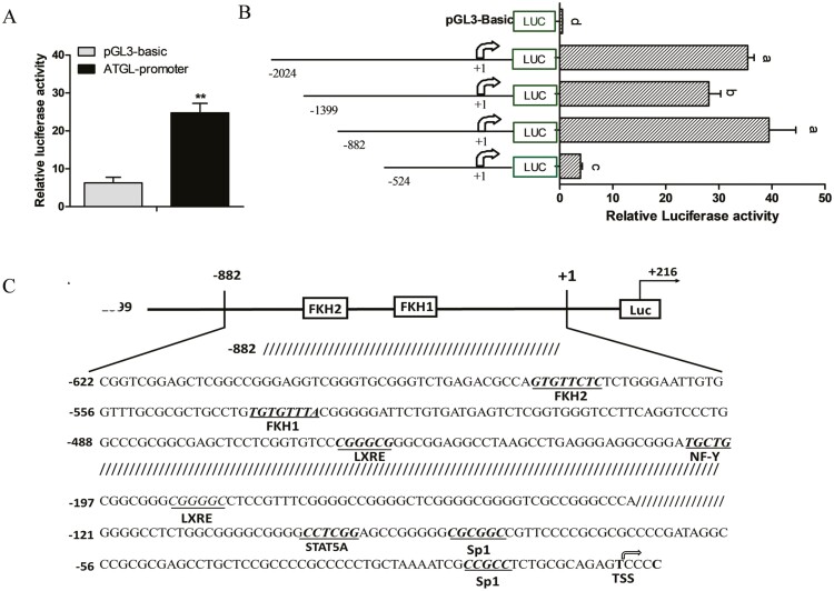 Figure 4.