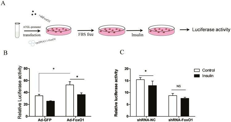 Figure 9.