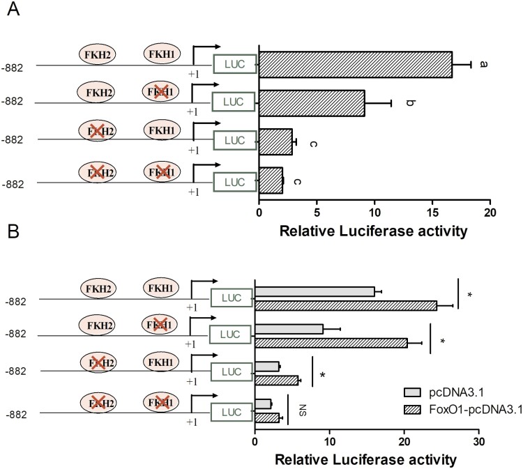 Figure 6.