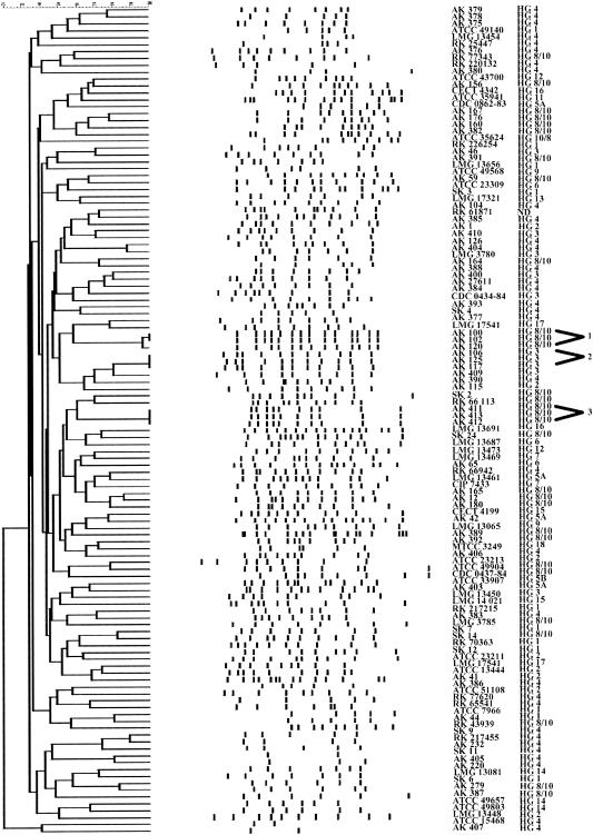 FIG. 1.