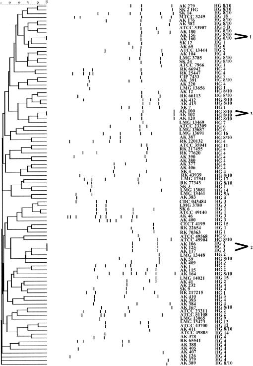 FIG. 2.