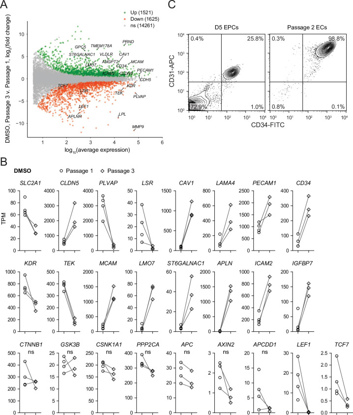 Figure 7—figure supplement 4.