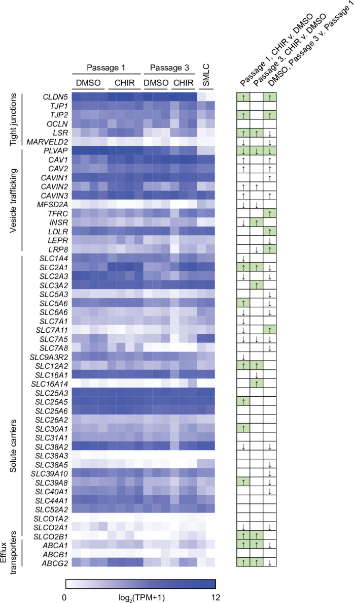 Figure 7—figure supplement 5.