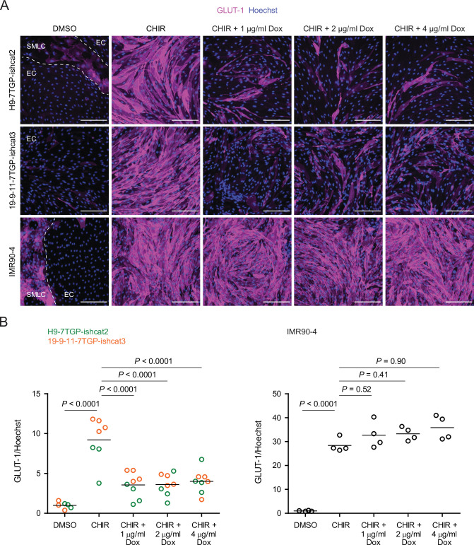 Figure 2—figure supplement 3.