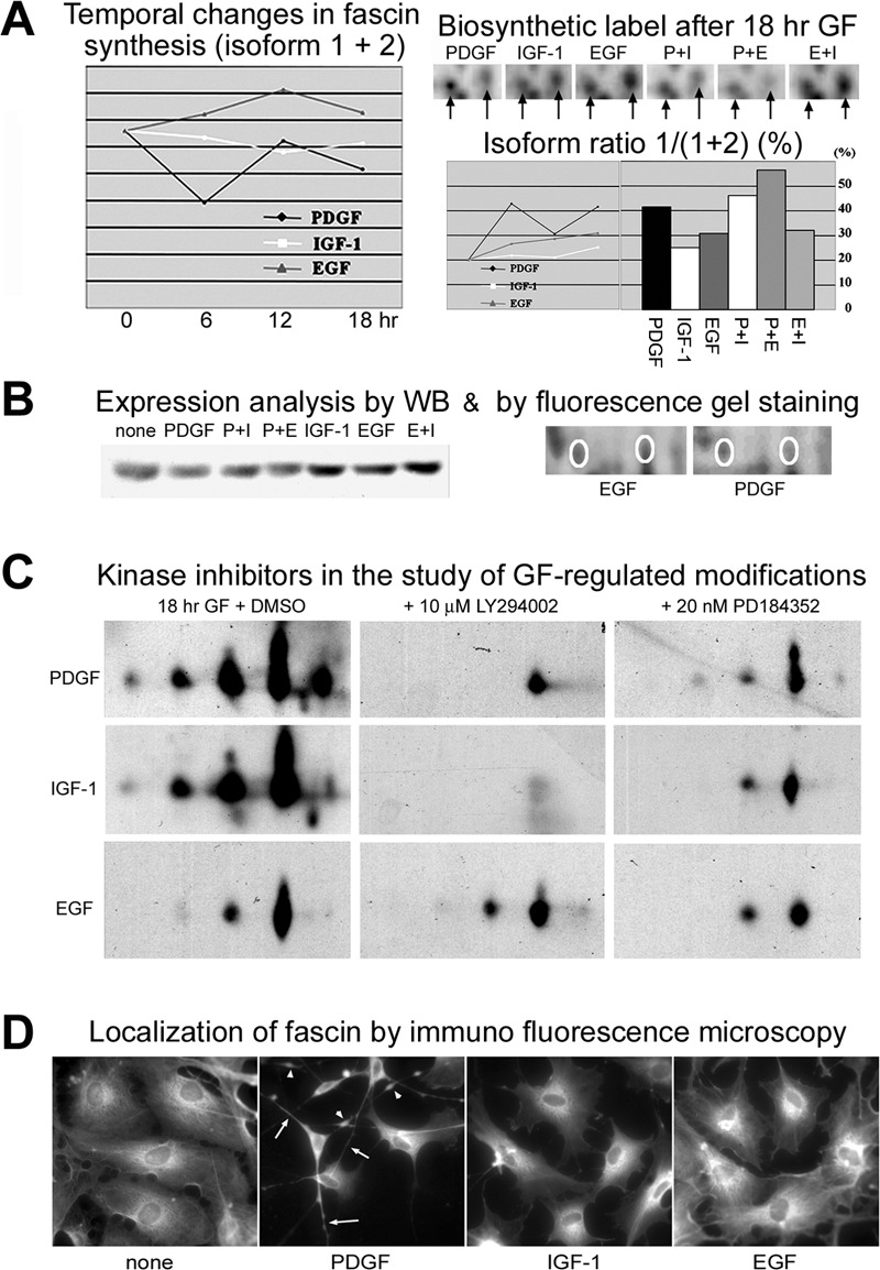 Fig. 10.